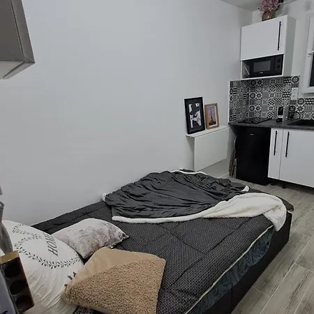 Apartment Studette Cosy Ideal Pour Un Sejour Parisien Metro Duroc Paris